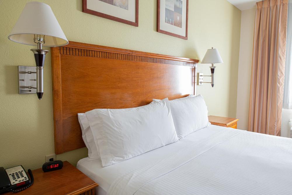 One-Bedroom King Suite with Sofa Bed interior