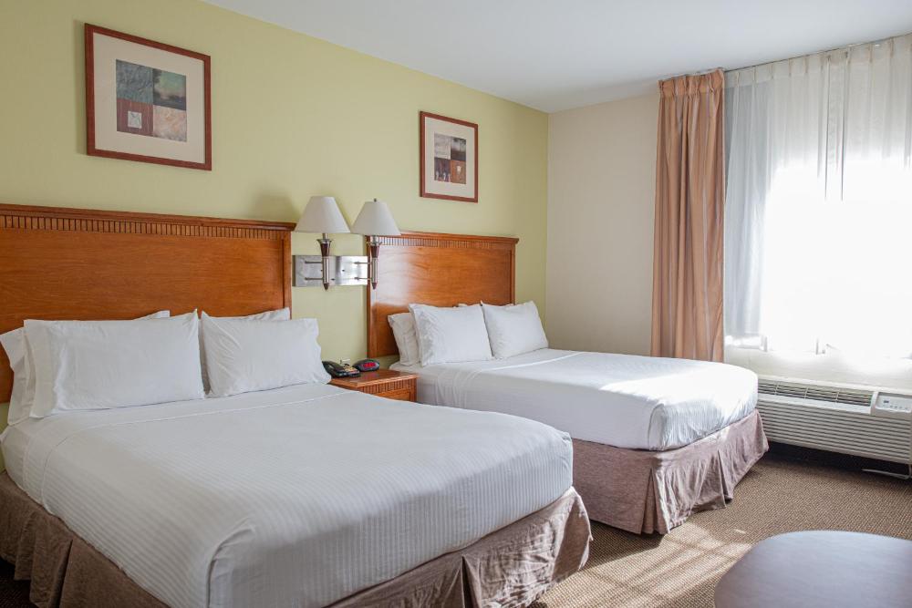 Standard Studio with Two Double Beds - Disability Access/Non-Smoking interior